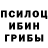 Галлюциногенные грибы Psilocybine cubensis Kama Rrasul