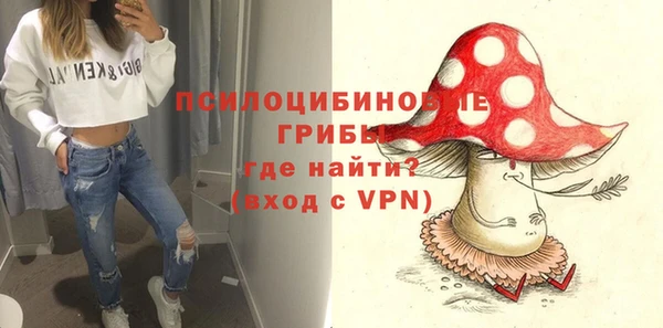 твердый Киреевск