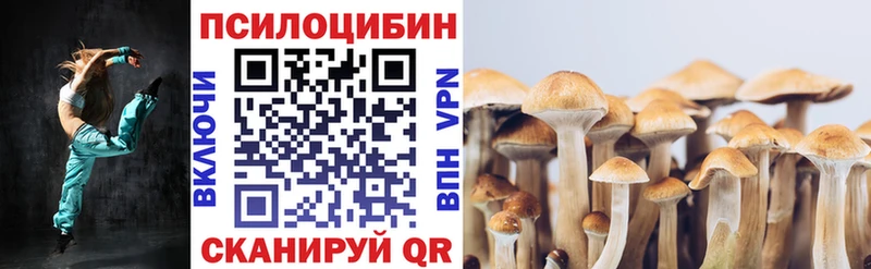 Галлюциногенные грибы MAGIC MUSHROOMS  Купить  Моршанск 